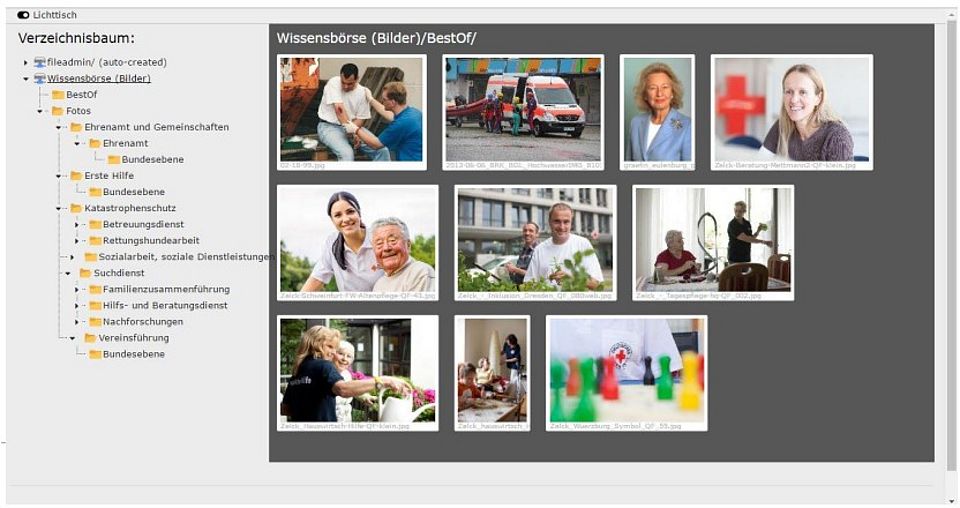 Leuchttisch-Ansicht der Bilder in TYPO3-Backend
